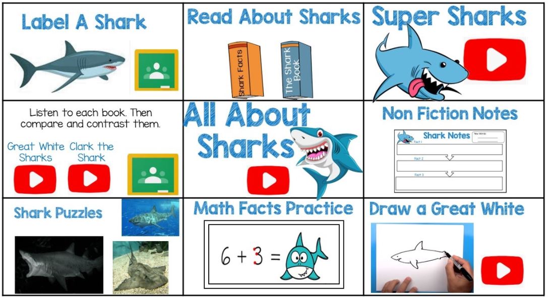 Shark Week activities for kids